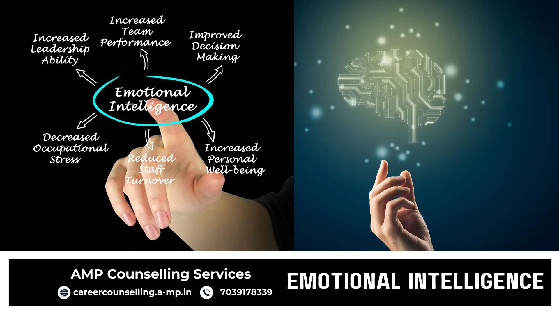 Emotional Intelligence